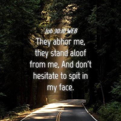Picture 04 - Job 30:10 WEB - They abhor me, they stand aloof from me, And - Bible Verse Picture