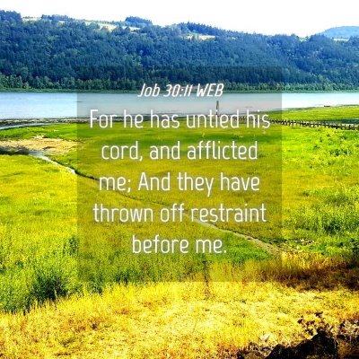 Picture 04 - Job 30:11 WEB - For he has untied his cord, and afflicted me; And - Bible Verse Picture