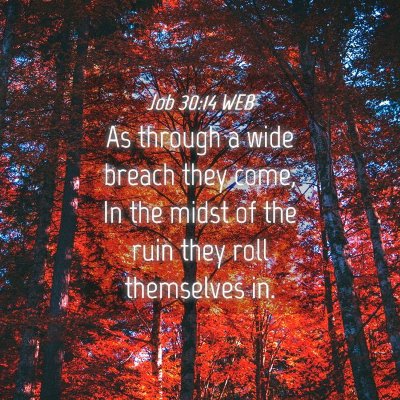 Picture 04 - Job 30:14 WEB - As through a wide breach they come, In the midst - Bible Verse Picture