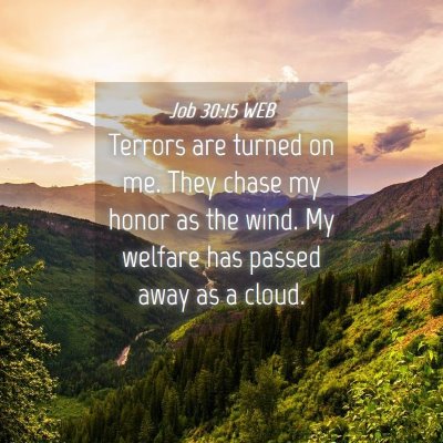Picture 04 - Job 30:15 WEB - Terrors are turned on me. They chase my honor as - Bible Verse Picture