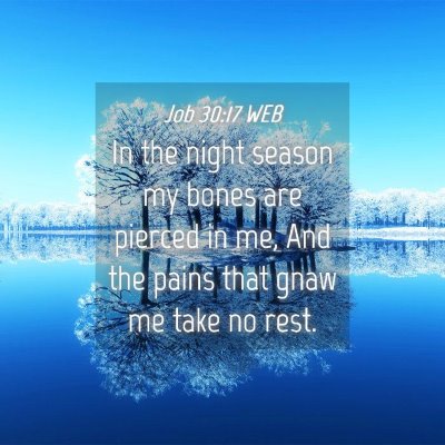 Picture 04 - Job 30:17 WEB - In the night season my bones are pierced in me, - Bible Verse Picture