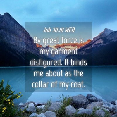 Picture 04 - Job 30:18 WEB - By great force is my garment disfigured. It binds - Bible Verse Picture
