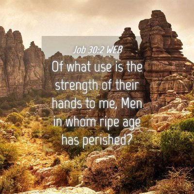 Picture 04 - Job 30:2 WEB - Of what use is the strength of their hands to me, - Bible Verse Picture