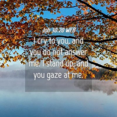 Picture 04 - Job 30:20 WEB - I cry to you, and you do not answer me. I stand - Bible Verse Picture