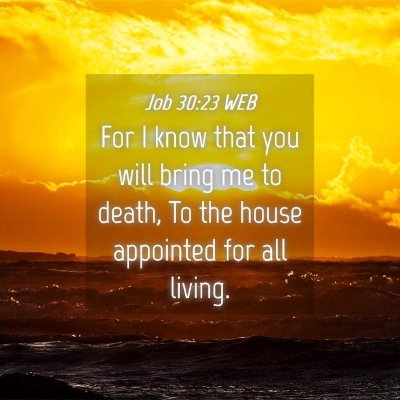 Picture 04 - Job 30:23 WEB - For I know that you will bring me to death, To - Bible Verse Picture