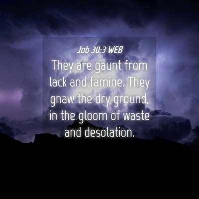 Picture 04 - Job 30:3 WEB - They are gaunt from lack and famine. They gnaw - Bible Verse Picture