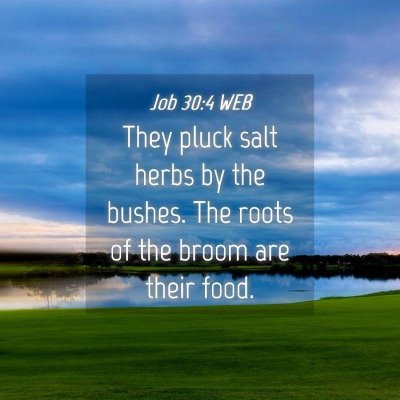 Picture 04 - Job 30:4 WEB - They pluck salt herbs by the bushes. The roots of - Bible Verse Picture