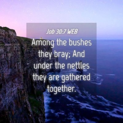 Picture 04 - Job 30:7 WEB - Among the bushes they bray; And under the nettles - Bible Verse Picture