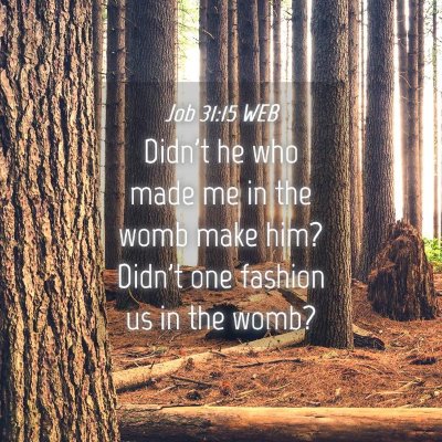 Picture 04 - Job 31:15 WEB - Didn't he who made me in the womb make him? - Bible Verse Picture