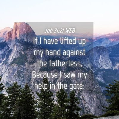 Picture 04 - Job 31:21 WEB - If I have lifted up my hand against the - Bible Verse Picture