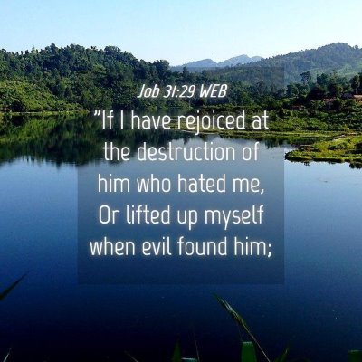 Picture 04 - Job 31:29 WEB - 