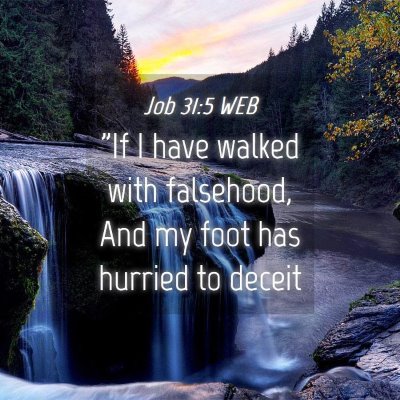 Picture 04 - Job 31:5 WEB - 