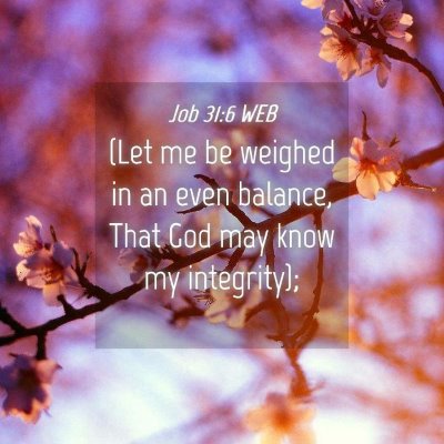 Picture 04 - Job 31:6 WEB - (Let me be weighed in an even balance, That God - Bible Verse Picture