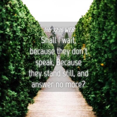 Picture 04 - Job 32:16 WEB - Shall I wait, because they don't speak, Because - Bible Verse Picture