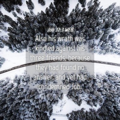 Picture 04 - Job 32:3 WEB - Also his wrath was kindled against his three - Bible Verse Picture