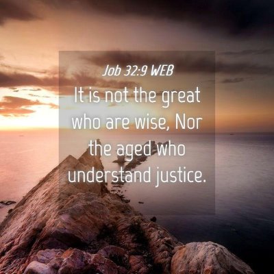 Picture 04 - Job 32:9 WEB - It is not the great who are wise, Nor the aged - Bible Verse Picture