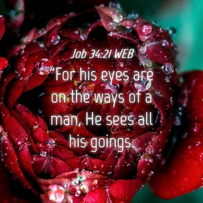 Picture 04 - Job 34:21 WEB - 