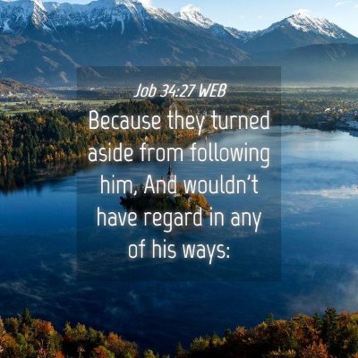 Picture 04 - Job 34:27 WEB - Because they turned aside from following him, And - Bible Verse Picture