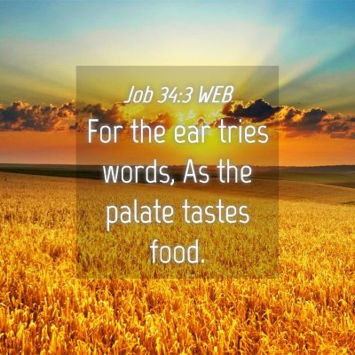 Picture 04 - Job 34:3 WEB - For the ear tries words, As the palate tastes - Bible Verse Picture