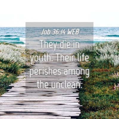Picture 04 - Job 36:14 WEB - They die in youth. Their life perishes among the - Bible Verse Picture