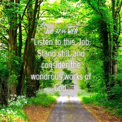 Picture 04 - Job 37:14 WEB - 