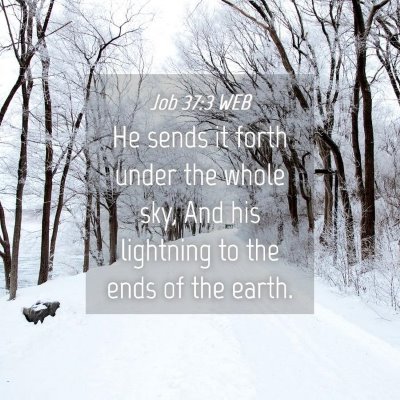 Picture 04 - Job 37:3 WEB - He sends it forth under the whole sky, And his - Bible Verse Picture