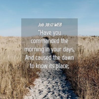 Picture 04 - Job 38:12 WEB - 