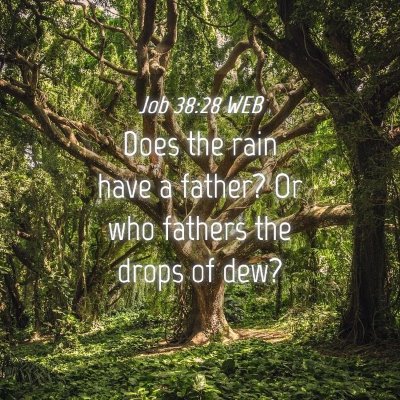 Picture 04 - Job 38:28 WEB - Does the rain have a father? Or who fathers the - Bible Verse Picture