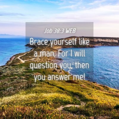 Picture 04 - Job 38:3 WEB - Brace yourself like a man, For I will question - Bible Verse Picture