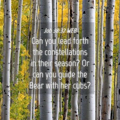 Picture 04 - Job 38:32 WEB - Can you lead forth the constellations in their - Bible Verse Picture