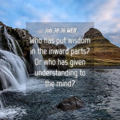 Picture 04 - Job 38:36 WEB - Who has put wisdom in the inward parts? Or who - Bible Verse Picture
