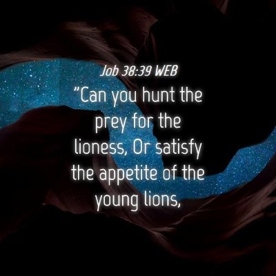 Picture 04 - Job 38:39 WEB - 