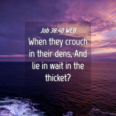 Picture 04 - Job 38:40 WEB - When they crouch in their dens, And lie in wait - Bible Verse Picture