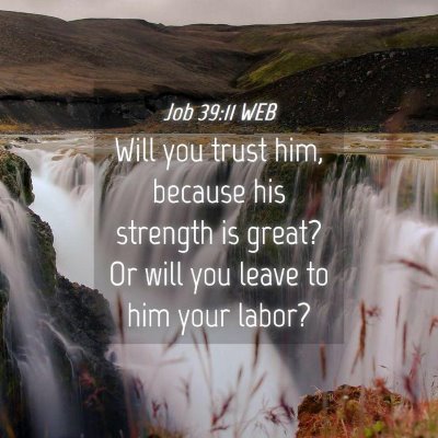 Picture 04 - Job 39:11 WEB - Will you trust him, because his strength is - Bible Verse Picture