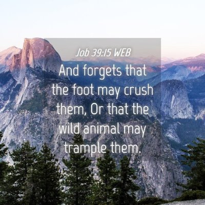 Picture 04 - Job 39:15 WEB - And forgets that the foot may crush them, Or that - Bible Verse Picture