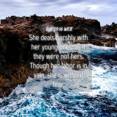 Picture 04 - Job 39:16 WEB - She deals harshly with her young ones, as if they - Bible Verse Picture