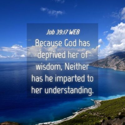 Picture 04 - Job 39:17 WEB - Because God has deprived her of wisdom, Neither - Bible Verse Picture