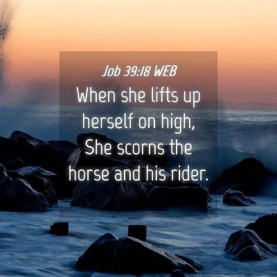 Picture 04 - Job 39:18 WEB - When she lifts up herself on high, She scorns the - Bible Verse Picture
