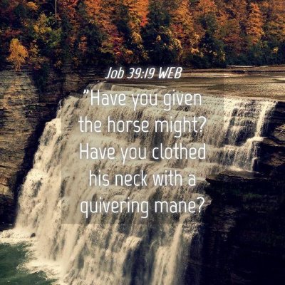 Picture 04 - Job 39:19 WEB - 