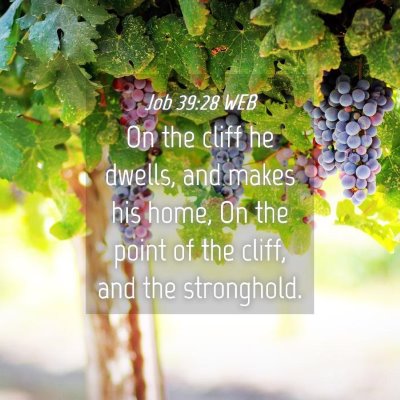 Picture 04 - Job 39:28 WEB - On the cliff he dwells, and makes his home, On - Bible Verse Picture
