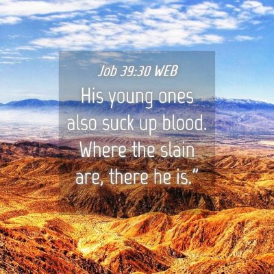 Picture 04 - Job 39:30 WEB - His young ones also suck up blood. Where the - Bible Verse Picture
