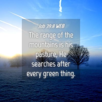 Picture 04 - Job 39:8 WEB - The range of the mountains is his pasture, He - Bible Verse Picture