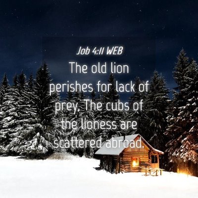 Picture 04 - Job 4:11 WEB - The old lion perishes for lack of prey, The cubs - Bible Verse Picture