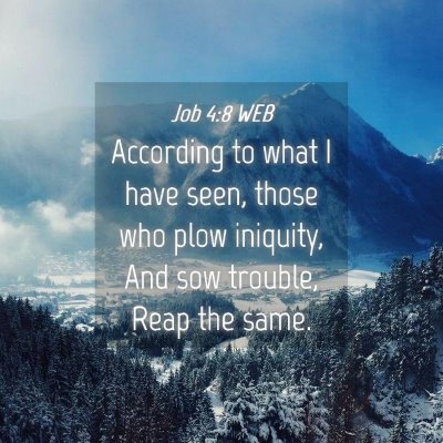 Picture 04 - Job 4:8 WEB - According to what I have seen, those who plow - Bible Verse Picture