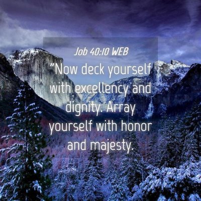 Picture 04 - Job 40:10 WEB - 
