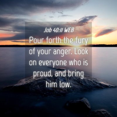Picture 04 - Job 40:11 WEB - Pour forth the fury of your anger. Look on - Bible Verse Picture