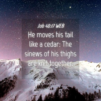 Picture 04 - Job 40:17 WEB - He moves his tail like a cedar: The sinews of his - Bible Verse Picture