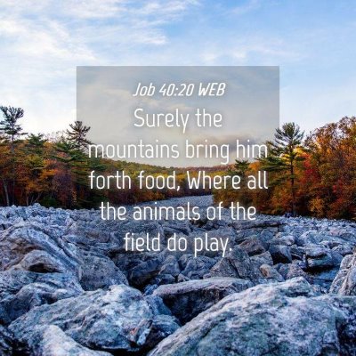 Picture 04 - Job 40:20 WEB - Surely the mountains bring him forth food, Where - Bible Verse Picture