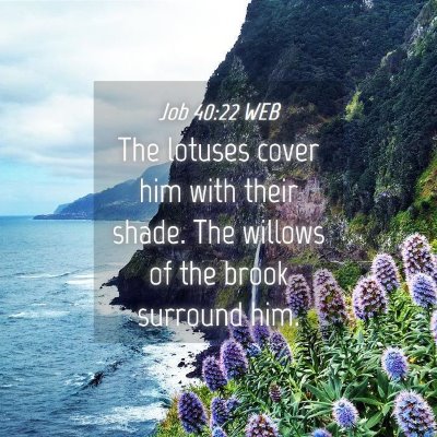 Picture 04 - Job 40:22 WEB - The lotuses cover him with their shade. The - Bible Verse Picture