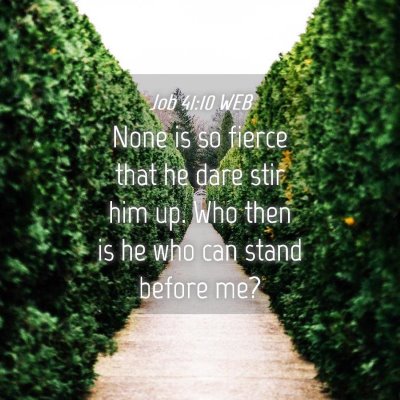 Picture 04 - Job 41:10 WEB - None is so fierce that he dare stir him up. Who - Bible Verse Picture